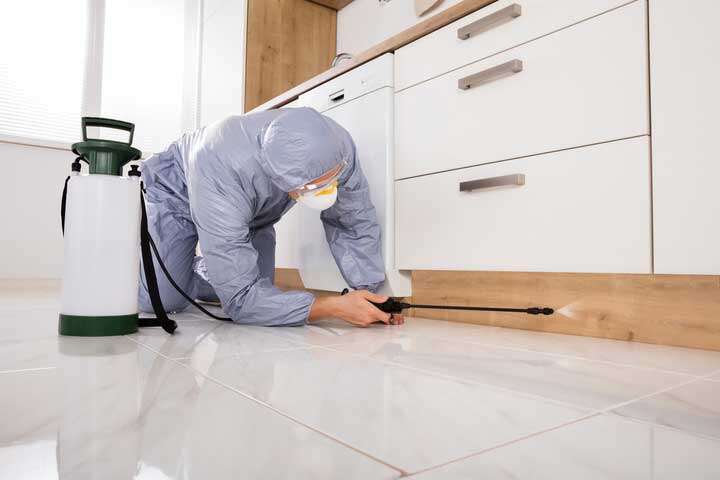 Residential Pest Control Sydney - Max Force Pest Control Sydney